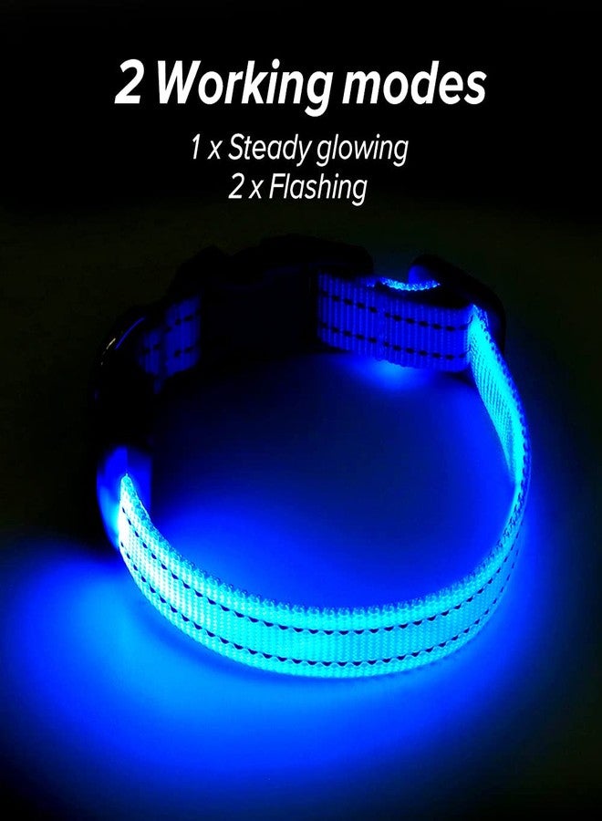 BSEEN Light Up Dog Collar, Rechargeable LED Dog Collar Reflective Glowing Pet Collar for Puppies & Cats, Safety Dog Lights for Night Walking (Blue) - Image 5